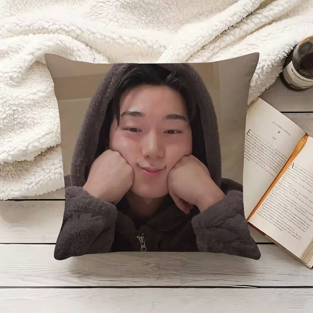 Funda de almohada C-Choi S-San - Home.Textiles Cushion reseña y precio